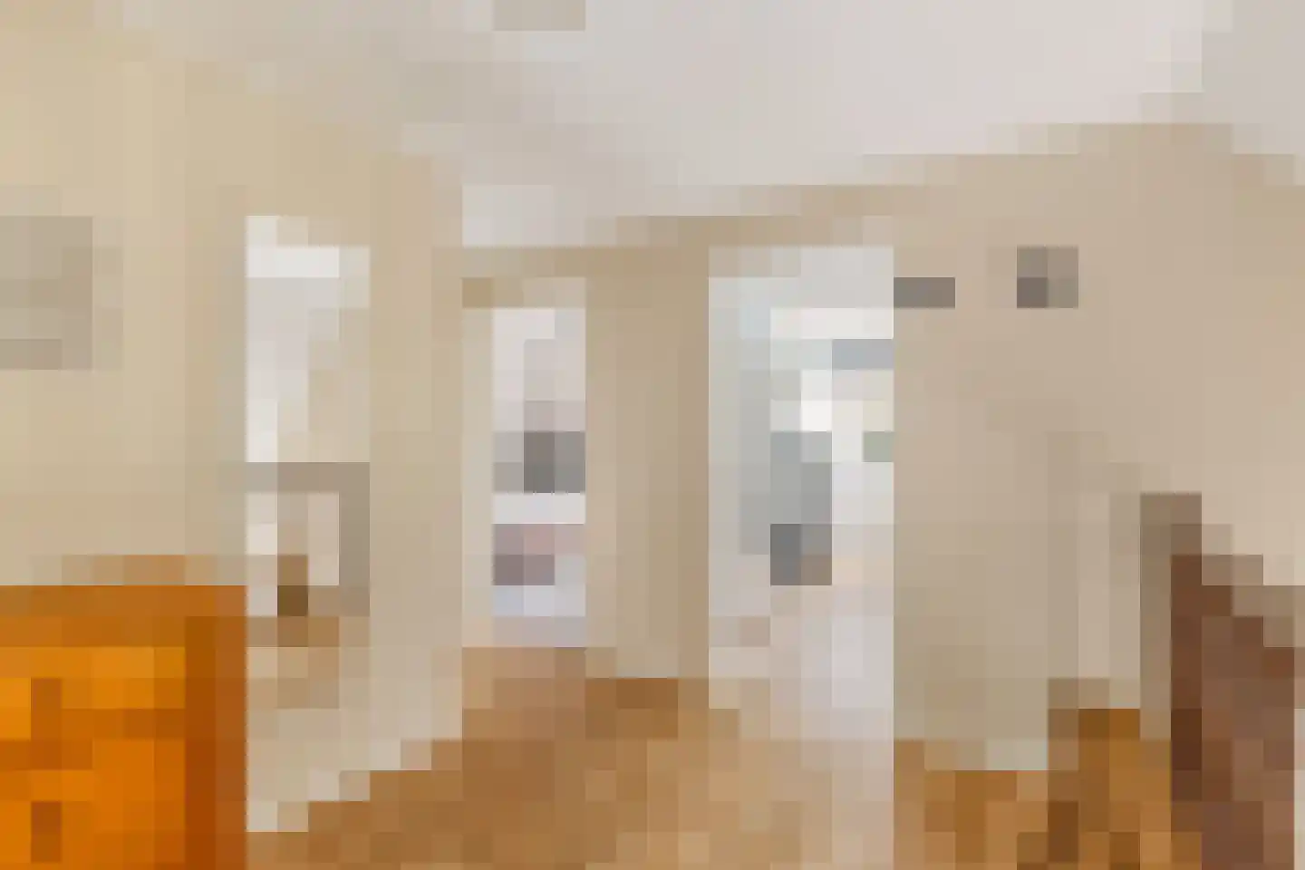 Julianalaan 55 Ermelo thumbnail 42