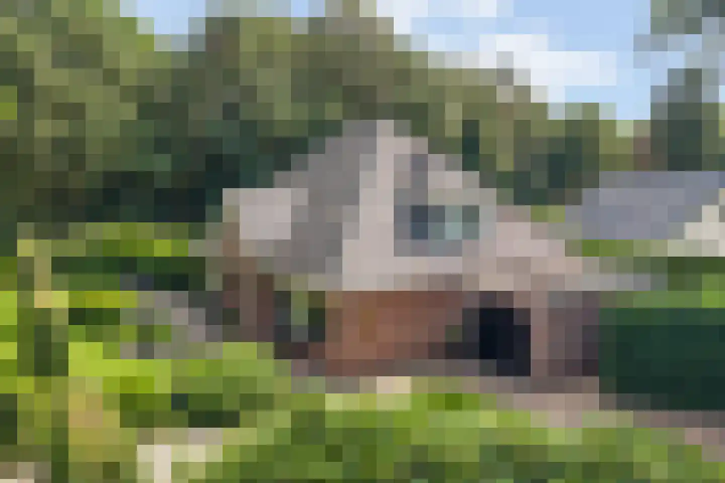 Julianalaan 55 Ermelo thumbnail 5