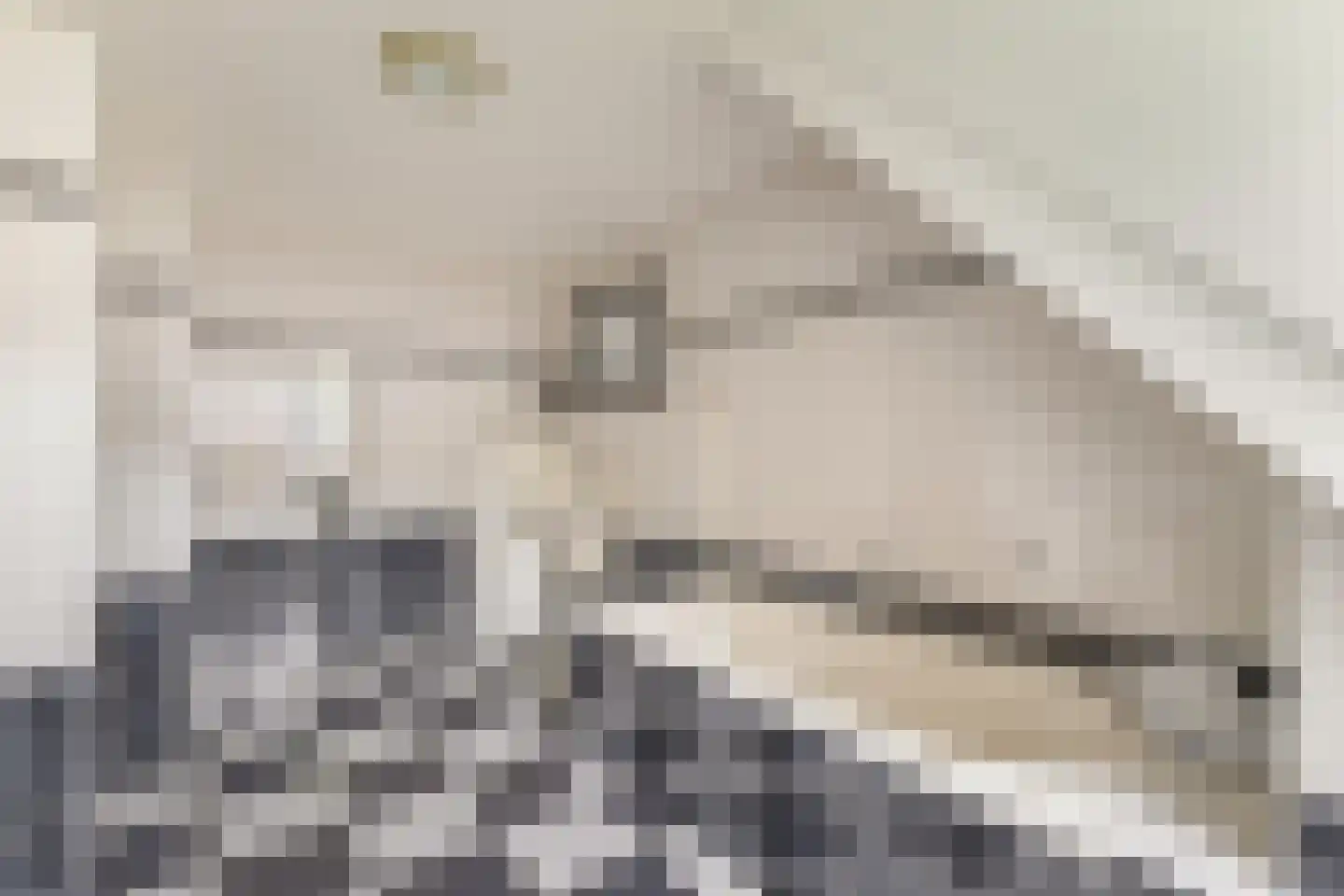 Julianalaan 55 Ermelo thumbnail 59