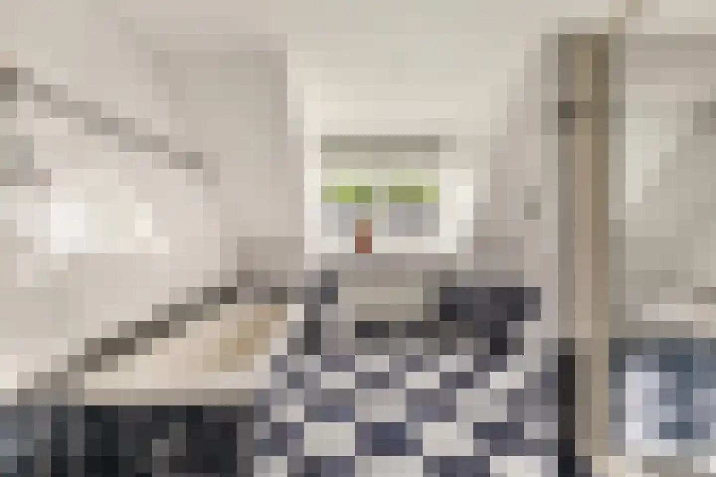 Julianalaan 55 Ermelo thumbnail 60