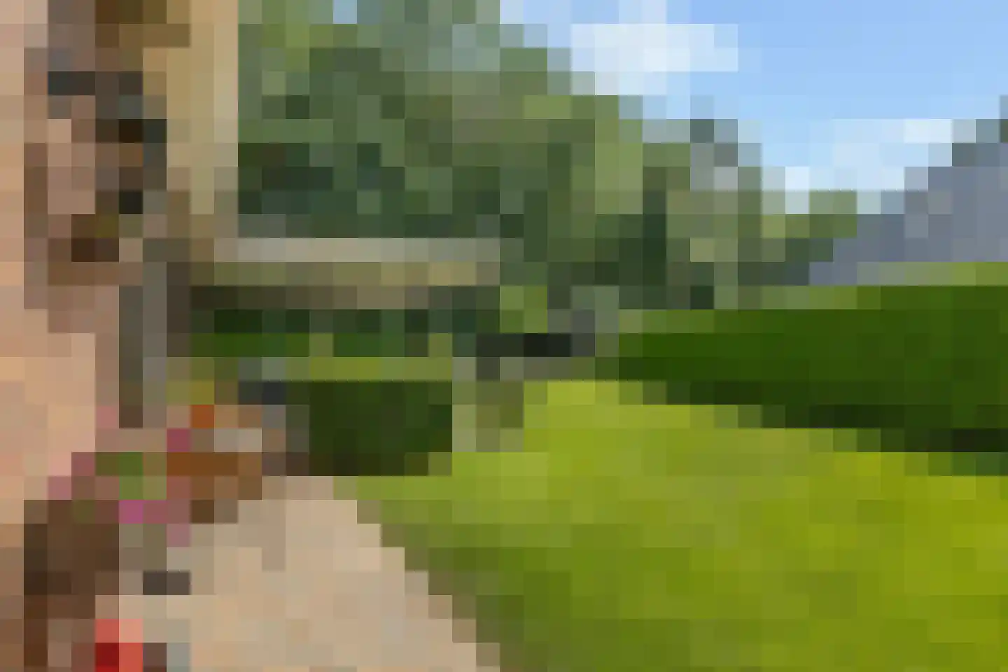 Julianalaan 55 Ermelo thumbnail 65