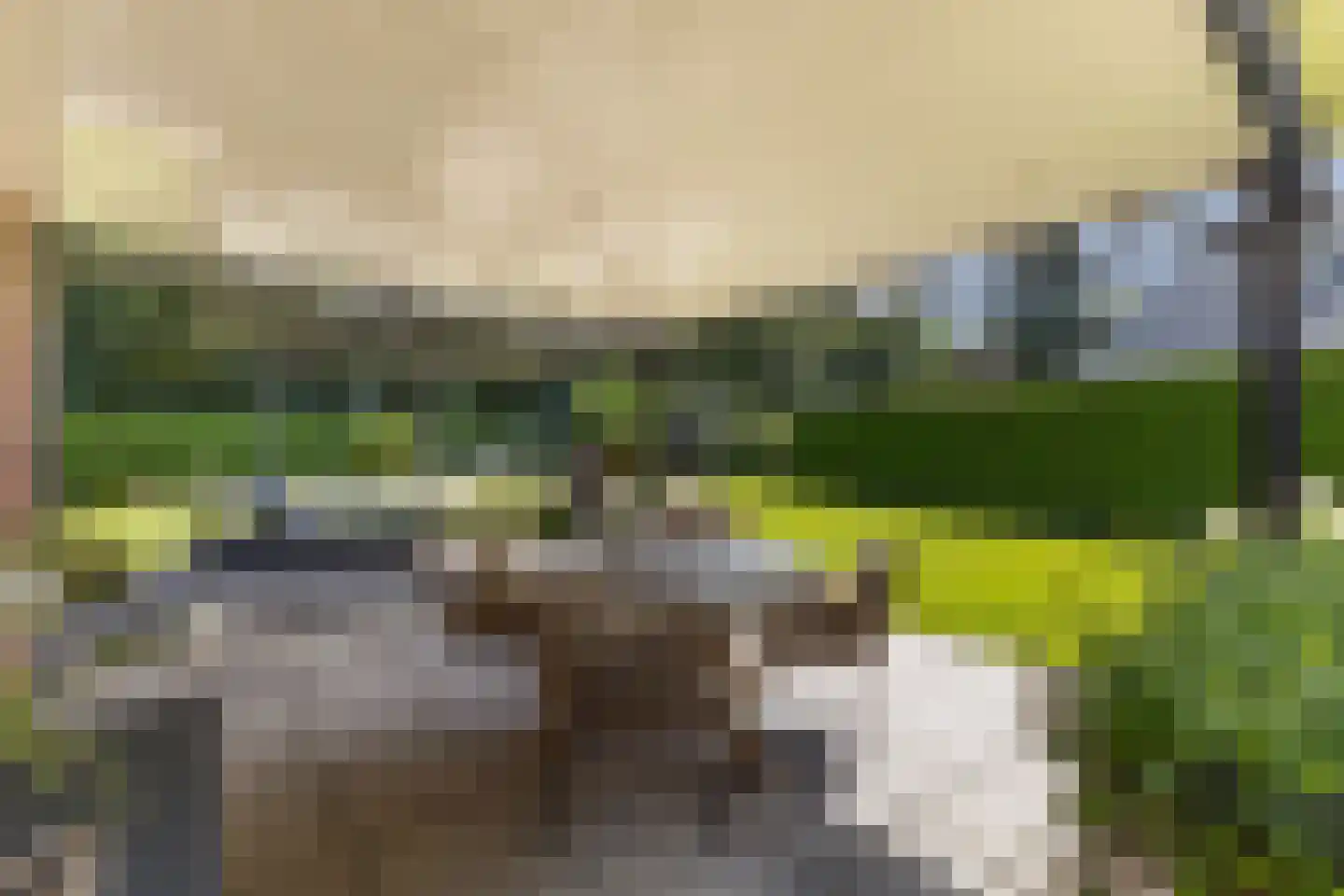 Julianalaan 55 Ermelo thumbnail 67