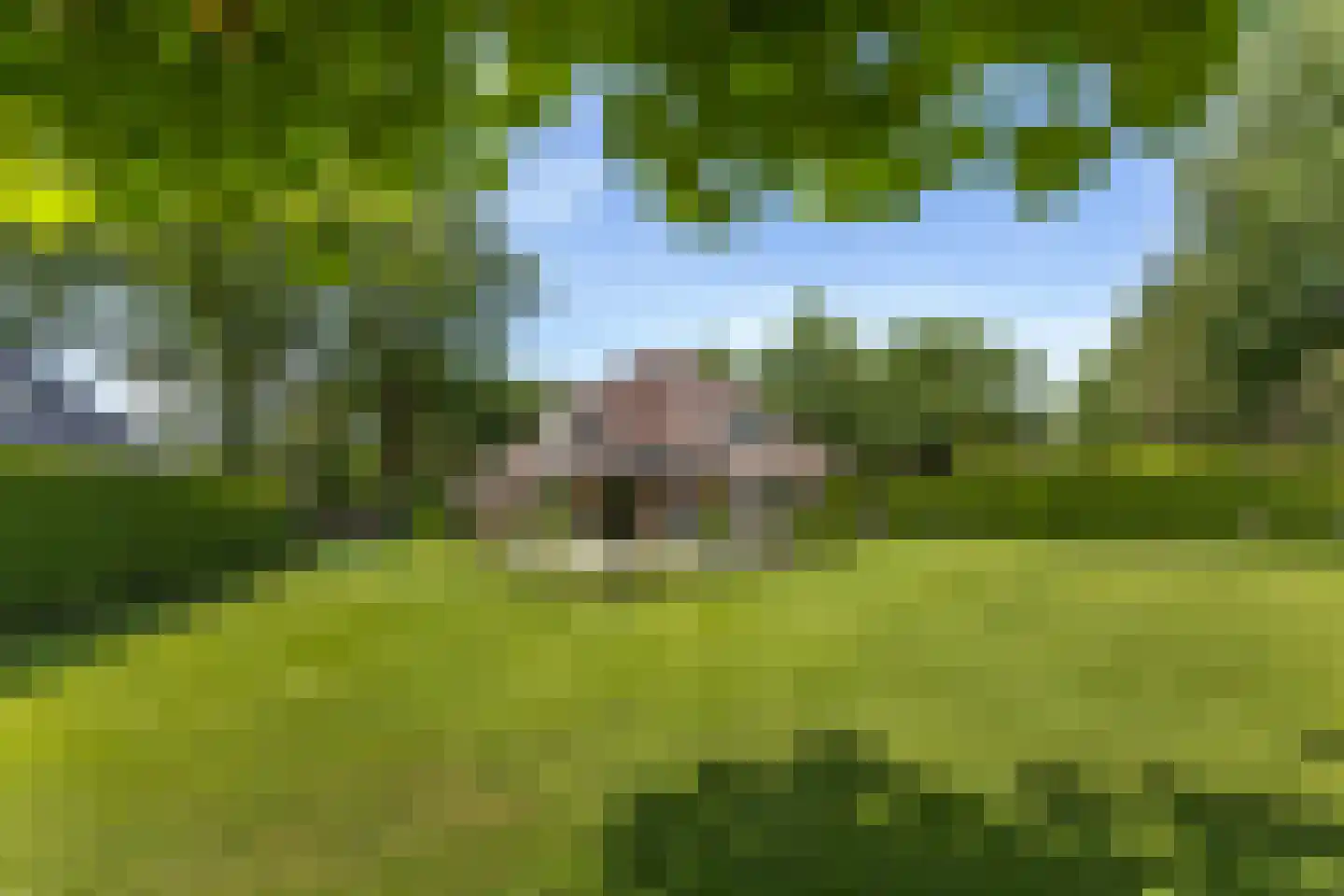 Julianalaan 55 Ermelo thumbnail 75