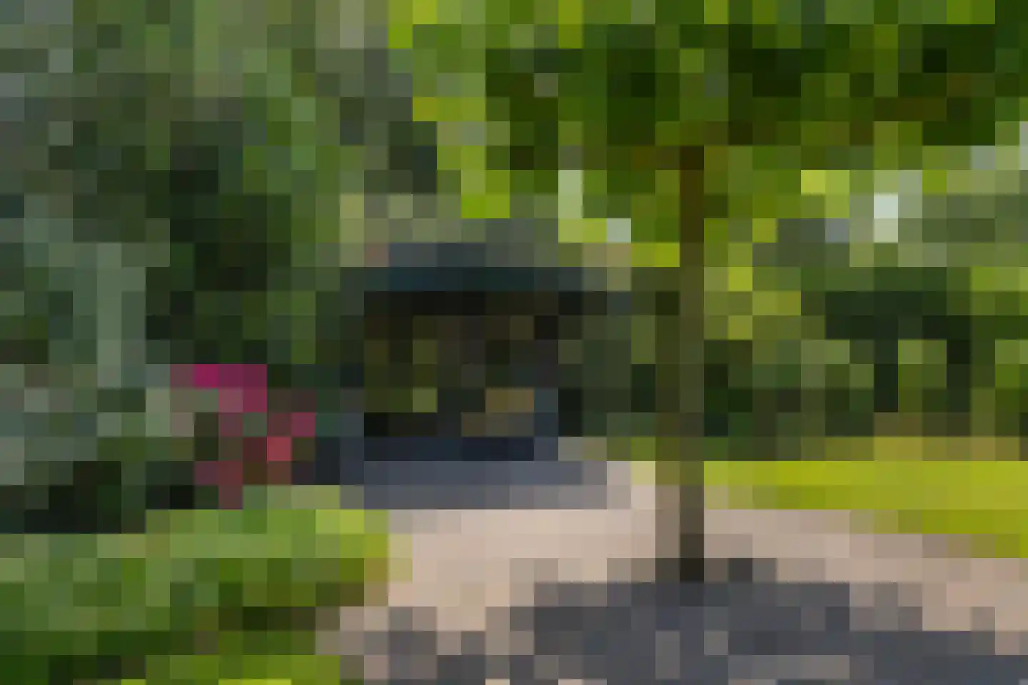 Julianalaan 55 Ermelo thumbnail 78