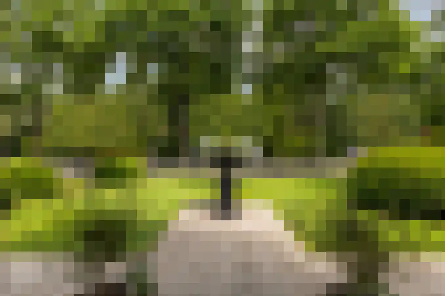 Julianalaan 55 Ermelo thumbnail 8