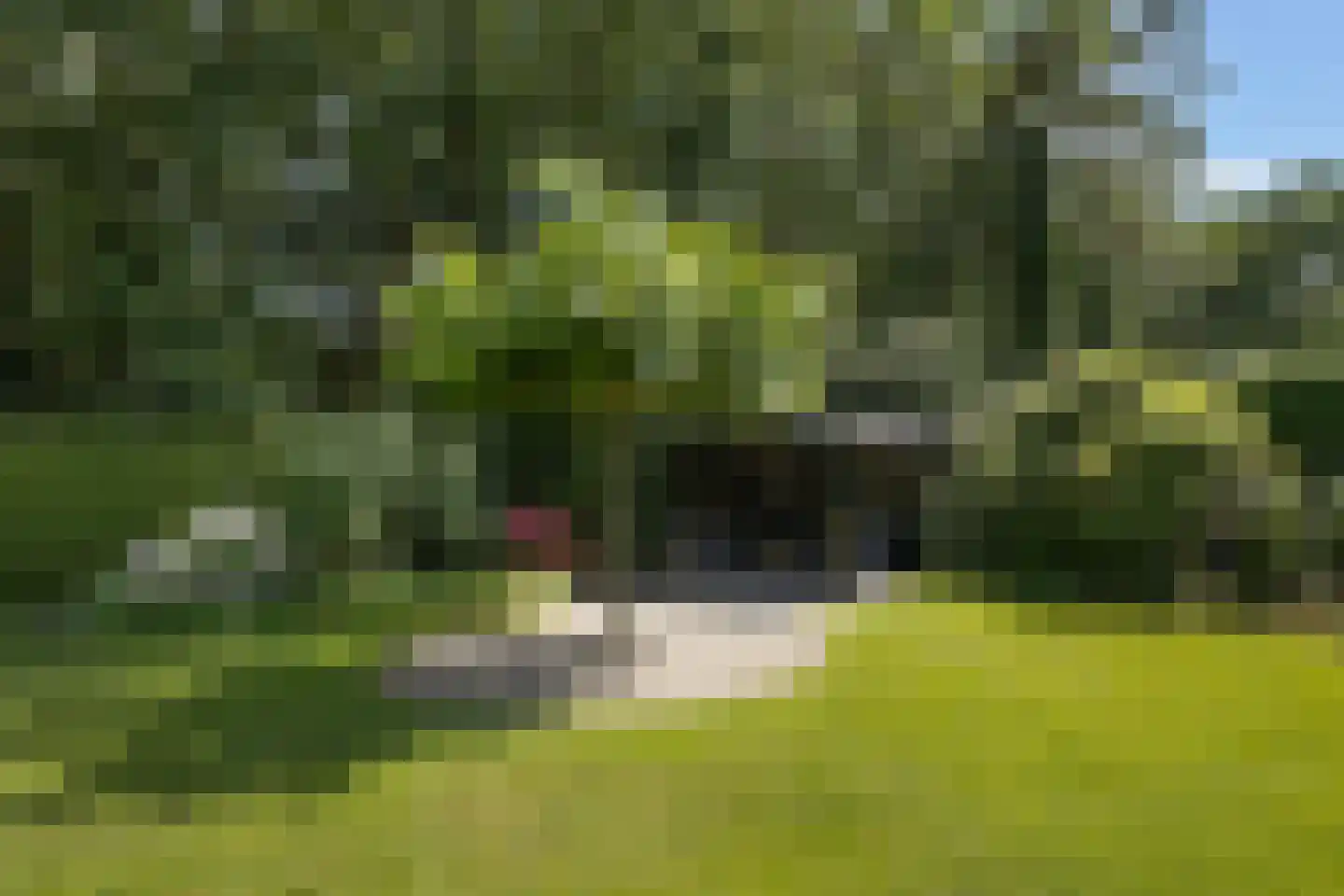 Julianalaan 55 Ermelo thumbnail 80