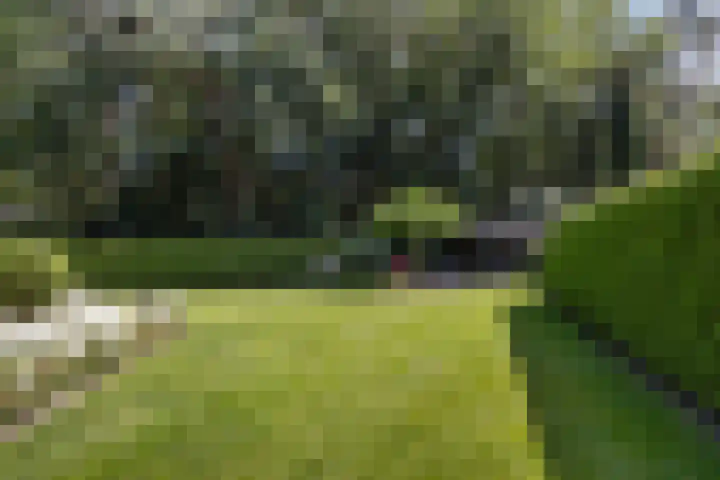 Julianalaan 55 Ermelo thumbnail 81