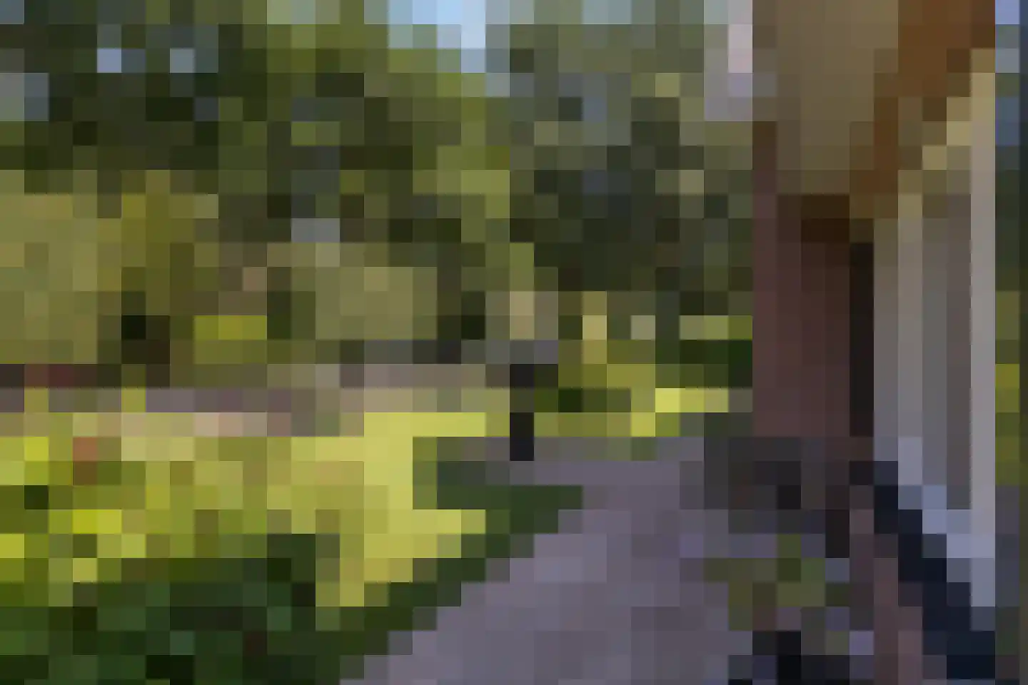 Julianalaan 55 Ermelo thumbnail 85