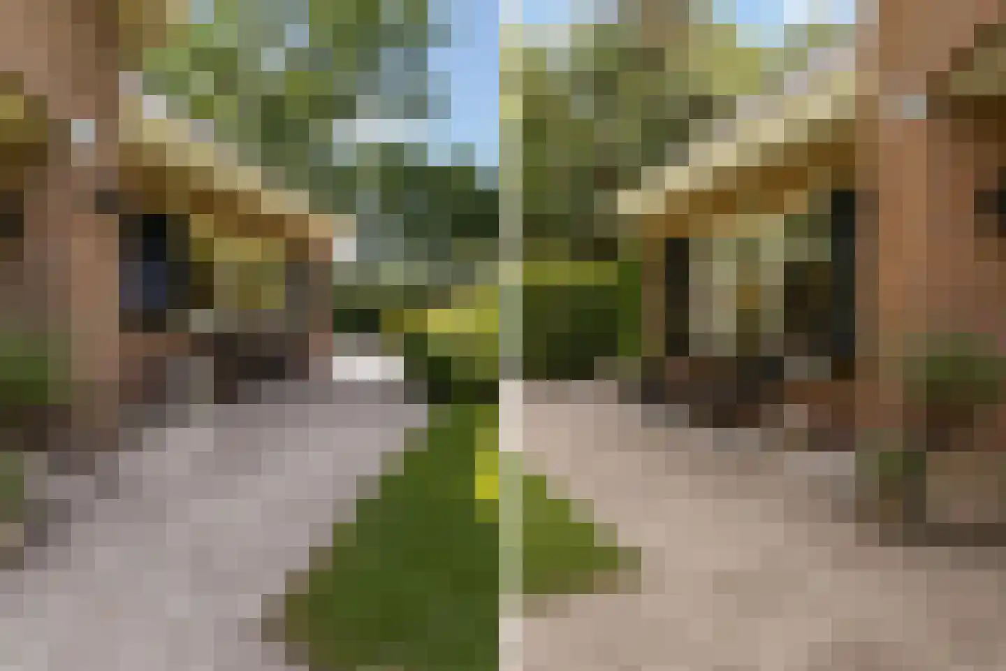 Julianalaan 55 Ermelo thumbnail 86