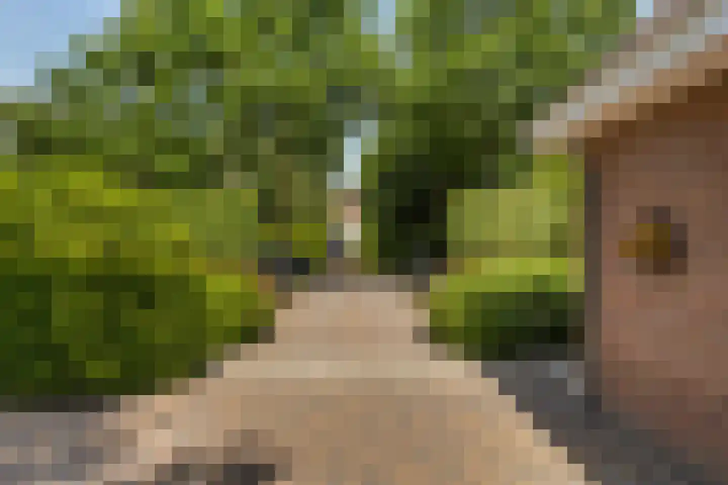 Julianalaan 55 Ermelo thumbnail 89