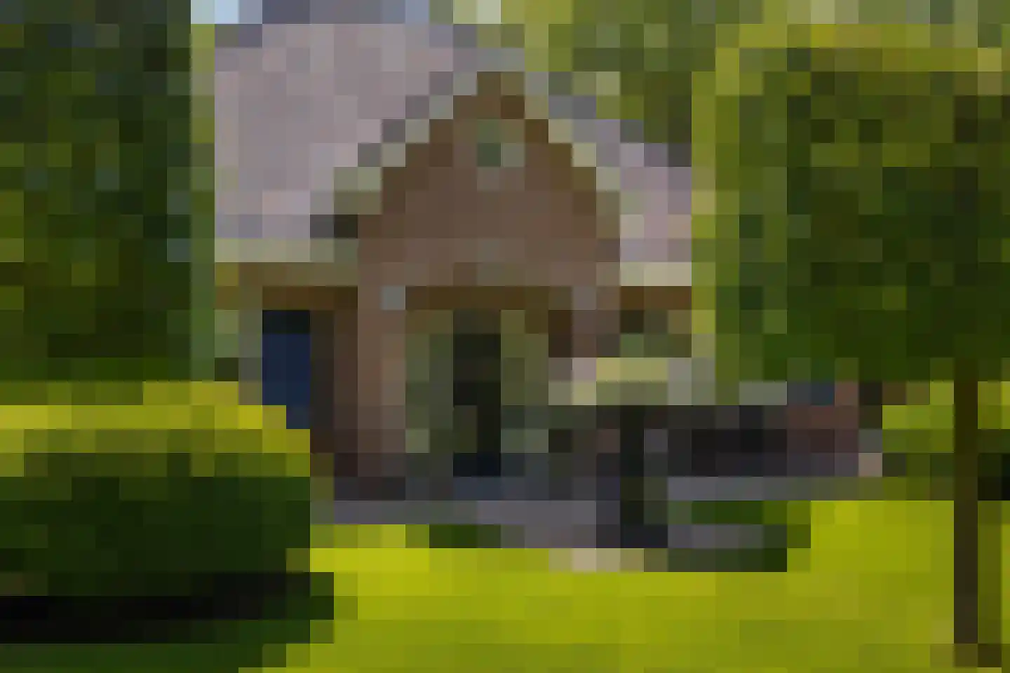 Julianalaan 55 Ermelo thumbnail 9