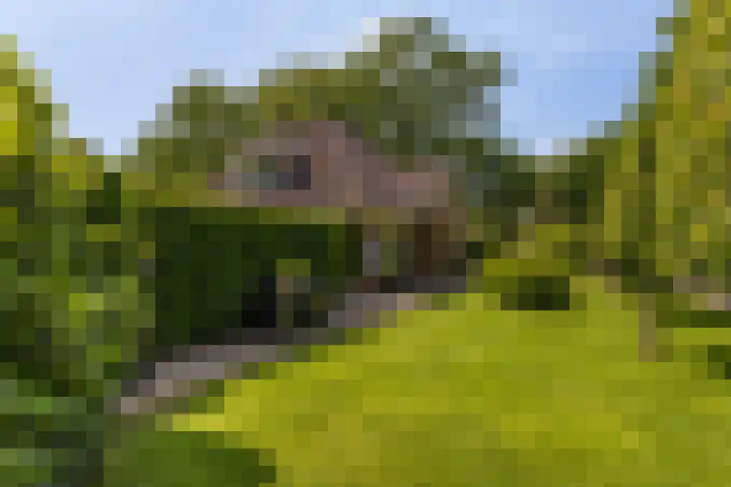 Julianalaan 55 Ermelo thumbnail 90