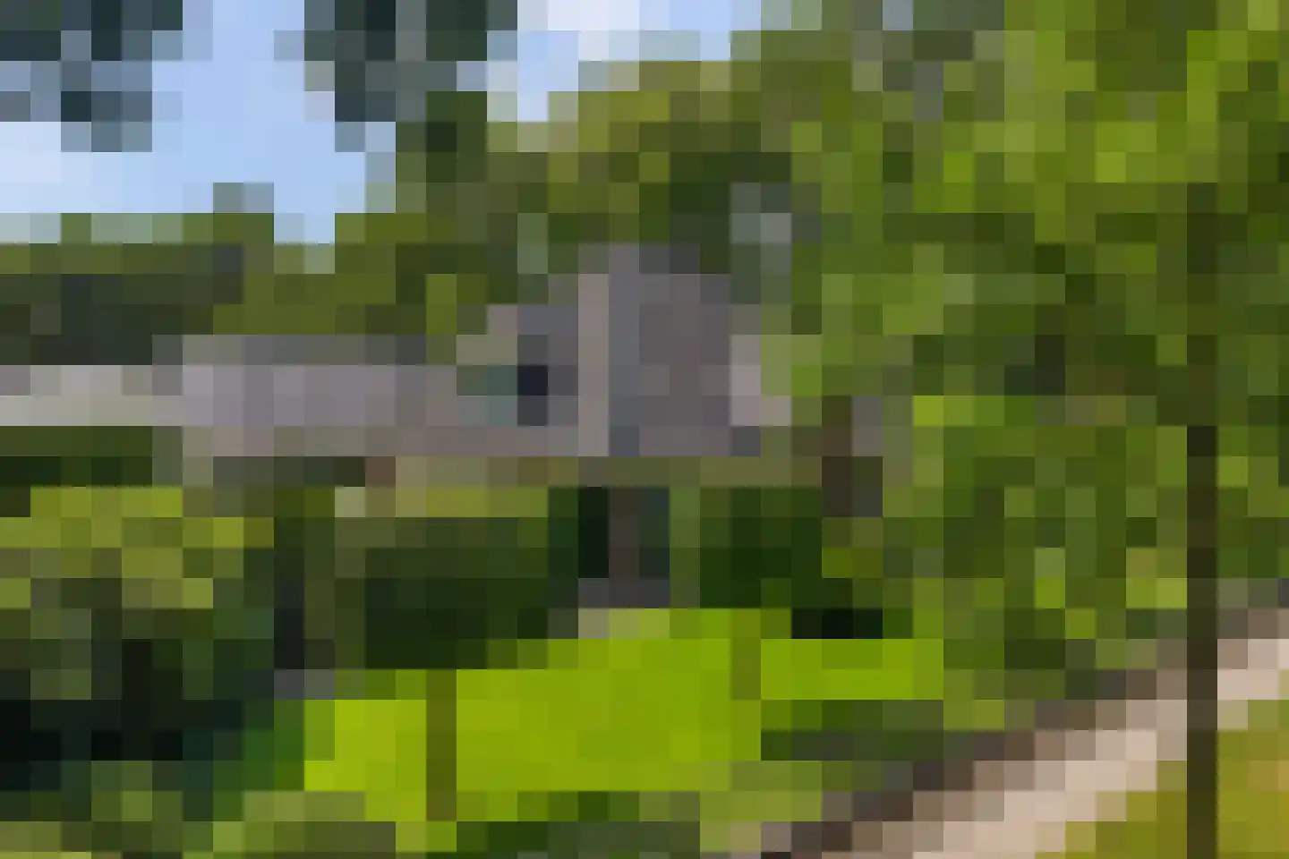 Julianalaan 55 Ermelo thumbnail 92