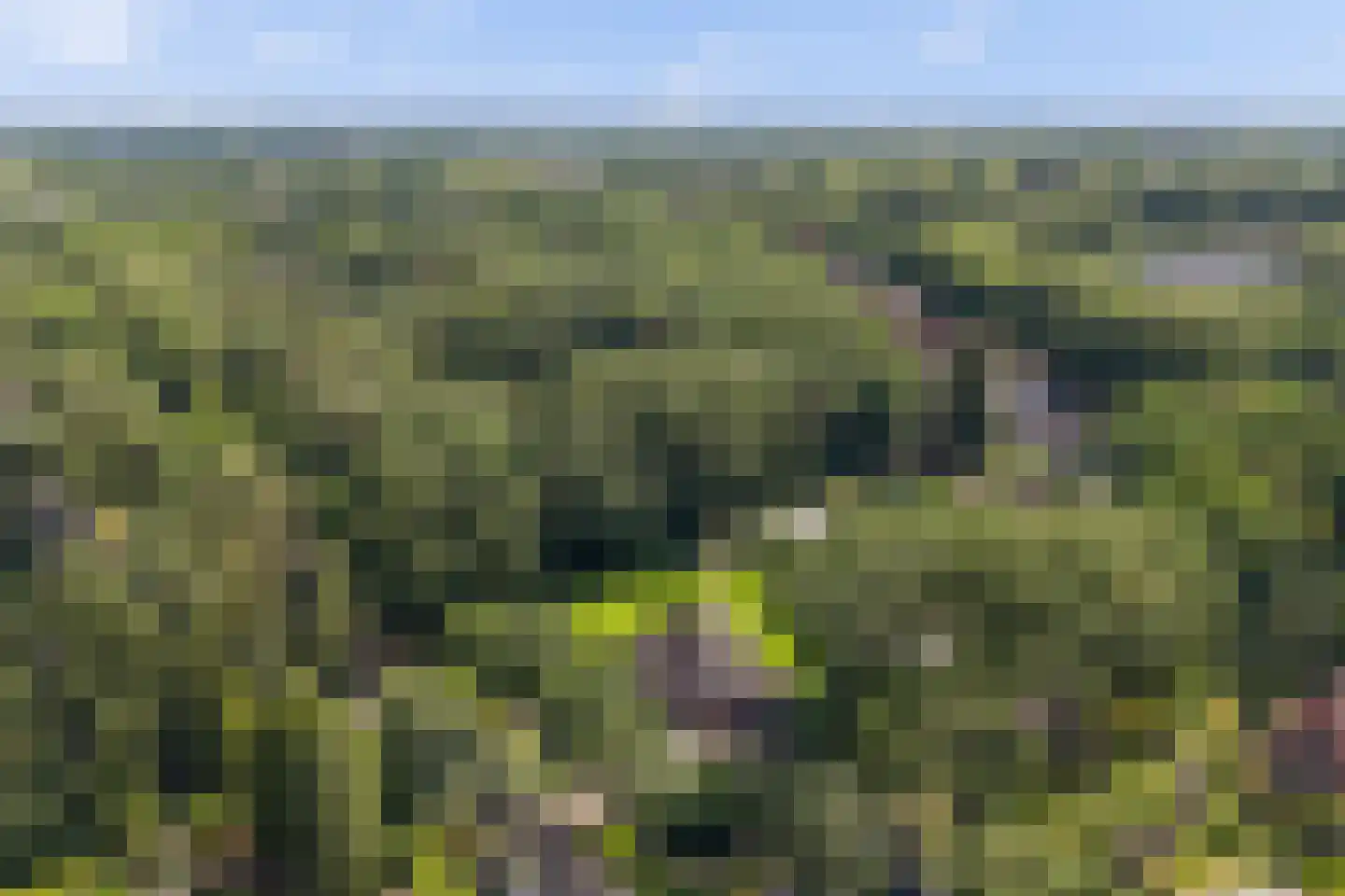 Julianalaan 55 Ermelo thumbnail 94