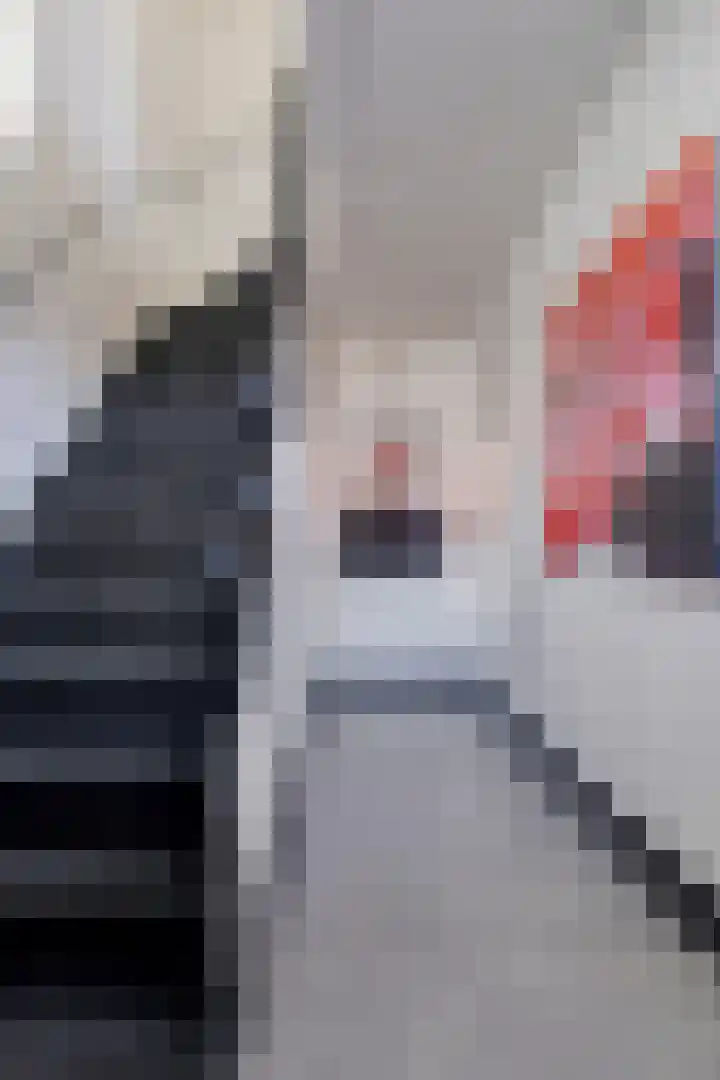 Julianalaan 55 Helmond thumbnail 10