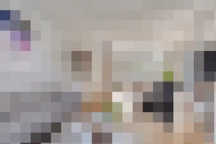 Julianalaan 55 Helmond thumbnail 12