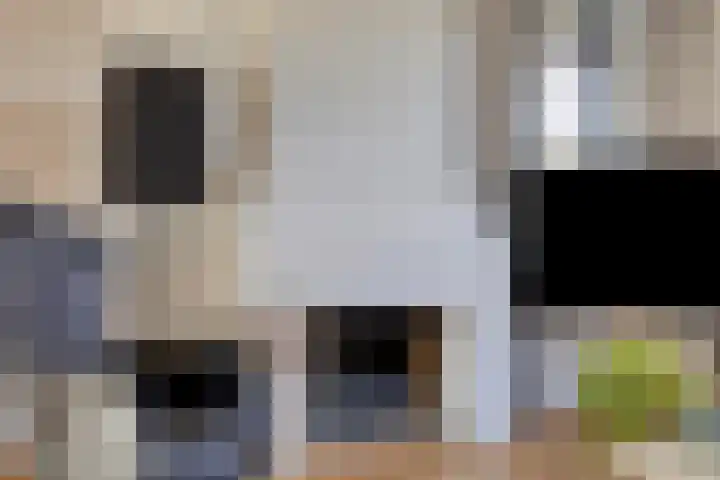 Julianalaan 55 Helmond thumbnail 13