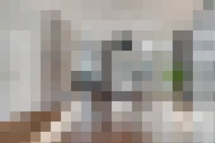 Julianalaan 55 Helmond thumbnail 15