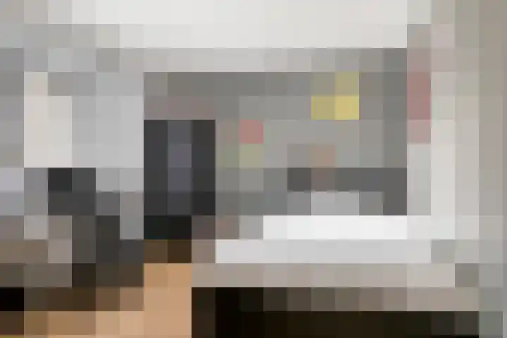 Julianalaan 55 Helmond thumbnail 21