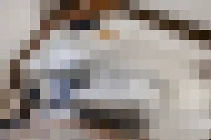 Julianalaan 55 Helmond thumbnail 30