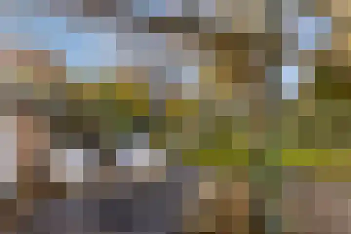 Julianalaan 55 Helmond thumbnail 32