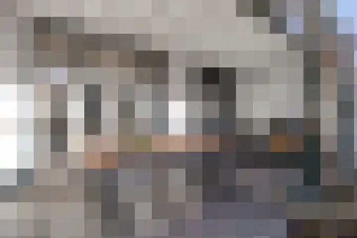 Julianalaan 55 Helmond thumbnail 33