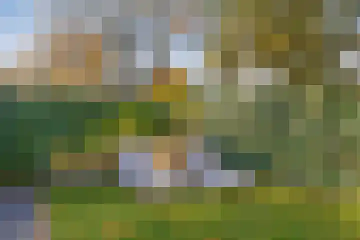 Julianalaan 55 Helmond thumbnail 35