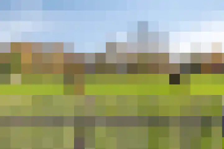 Julianalaan 55 Helmond thumbnail 39