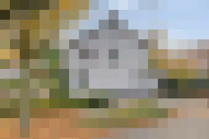 Julianalaan 55 Helmond thumbnail 7