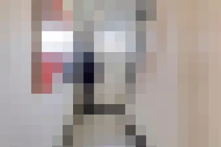 Julianalaan 55 Helmond thumbnail 9