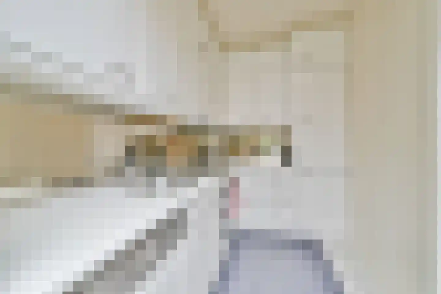 Julianalaan 55 Vlaardingen thumbnail 10