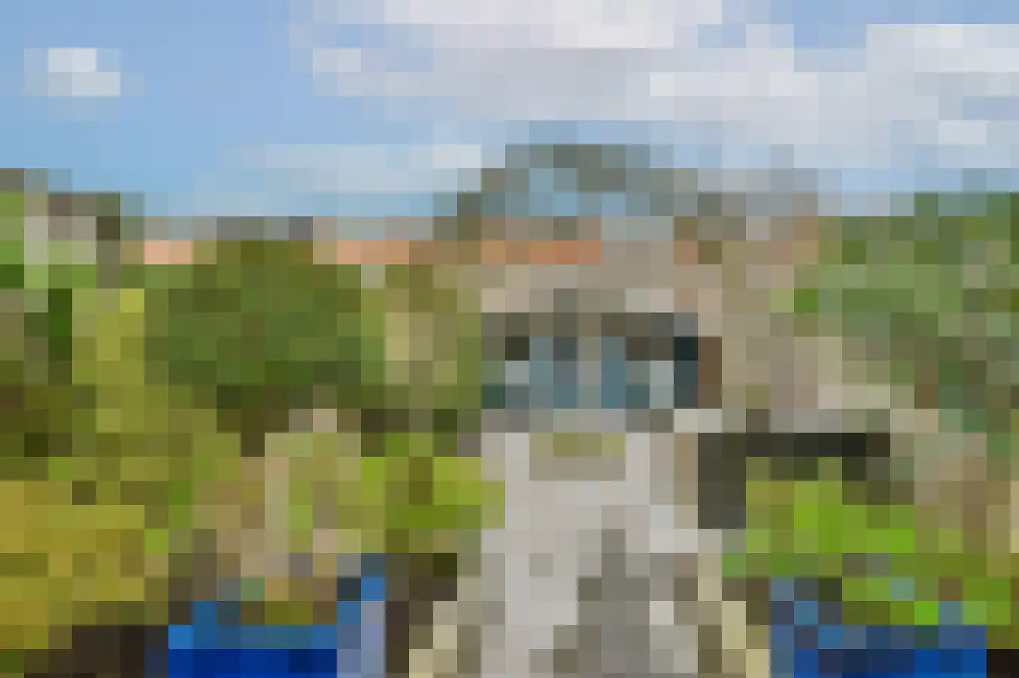 Julianalaan 55 Vlaardingen thumbnail 13