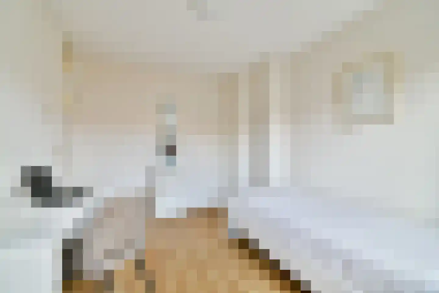 Julianalaan 55 Vlaardingen thumbnail 20
