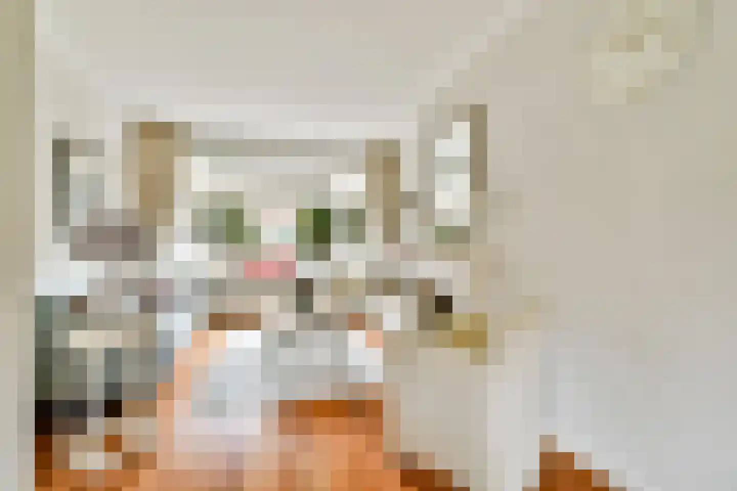 Julianalaan 55 Vlaardingen thumbnail 7