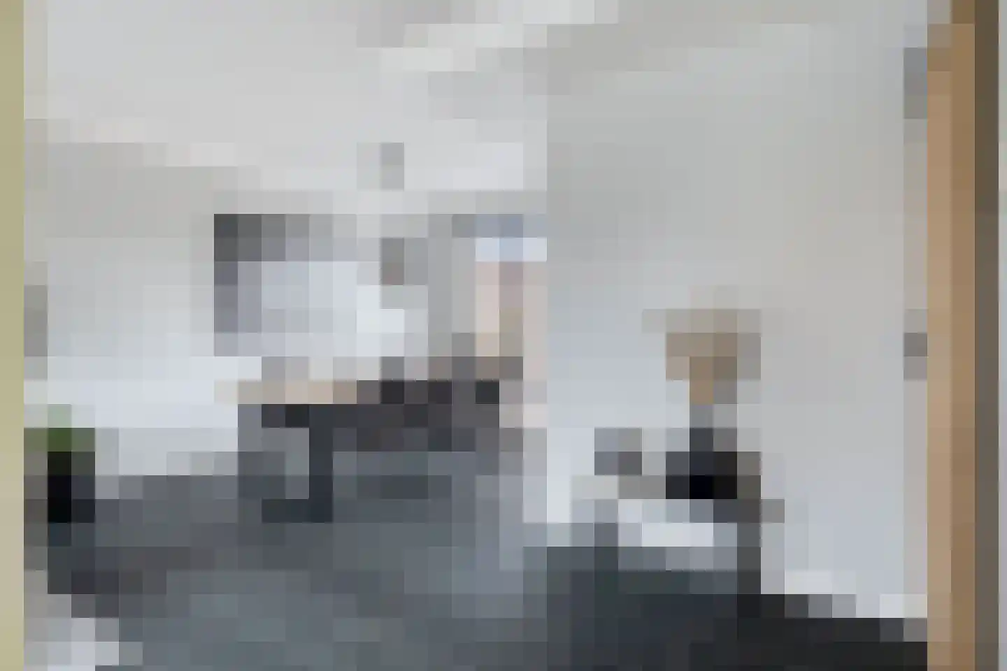 Julianalaan 56 Etten-Leur thumbnail 4