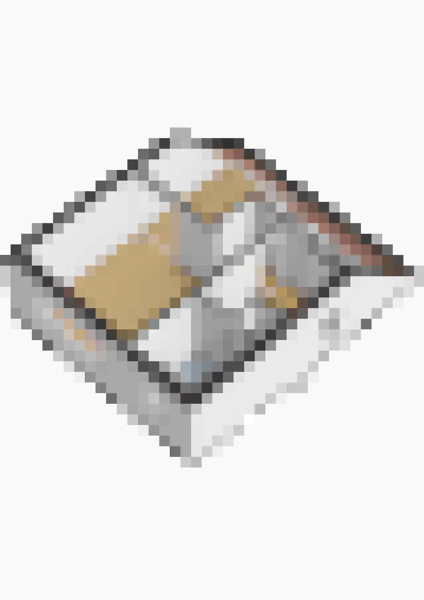 Julianalaan 56 Etten-Leur thumbnail 42