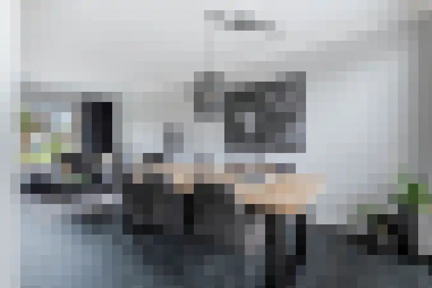 Julianalaan 56 Etten-Leur thumbnail 9