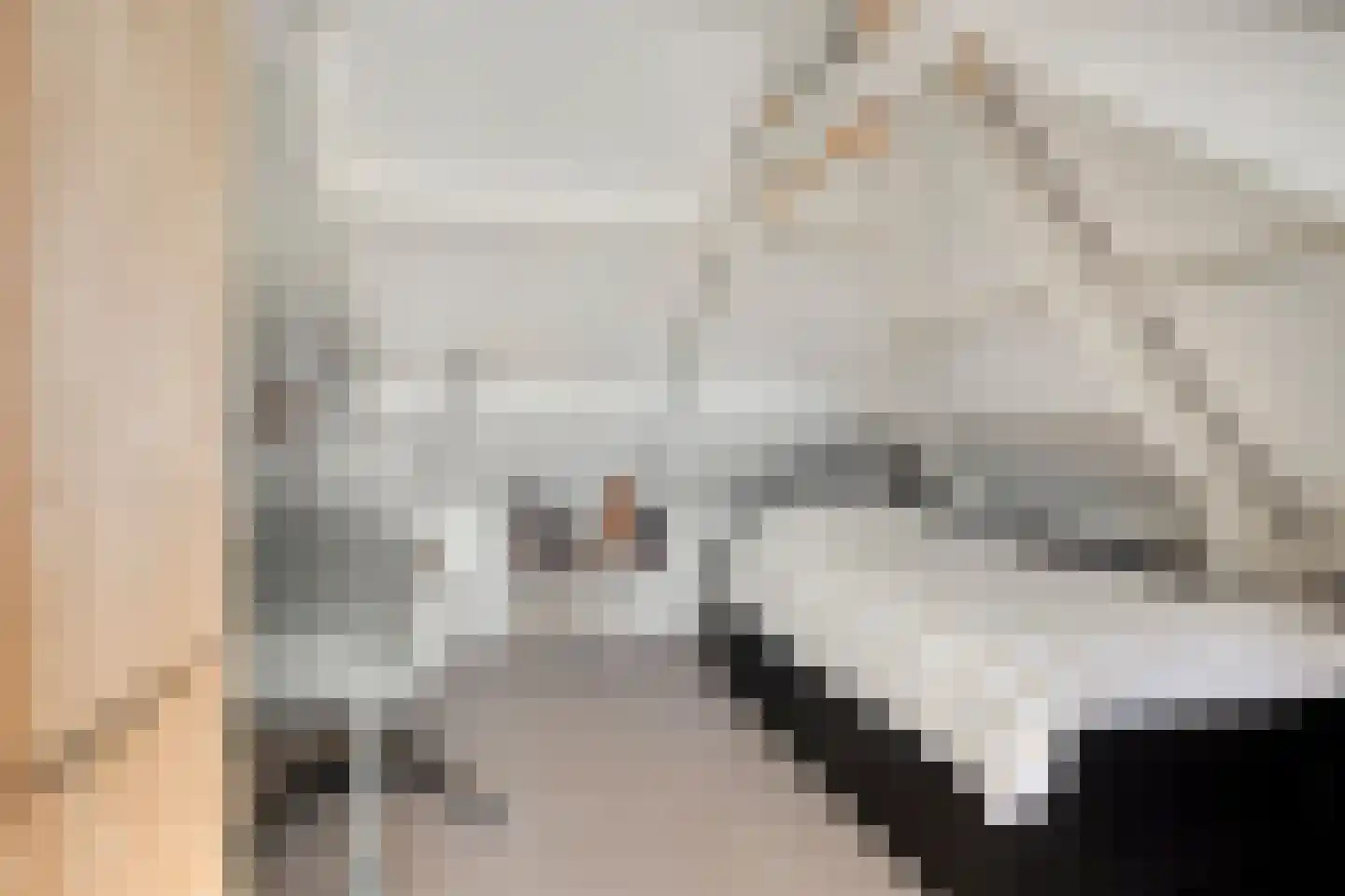 Julianalaan 6 Buitenpost thumbnail 25