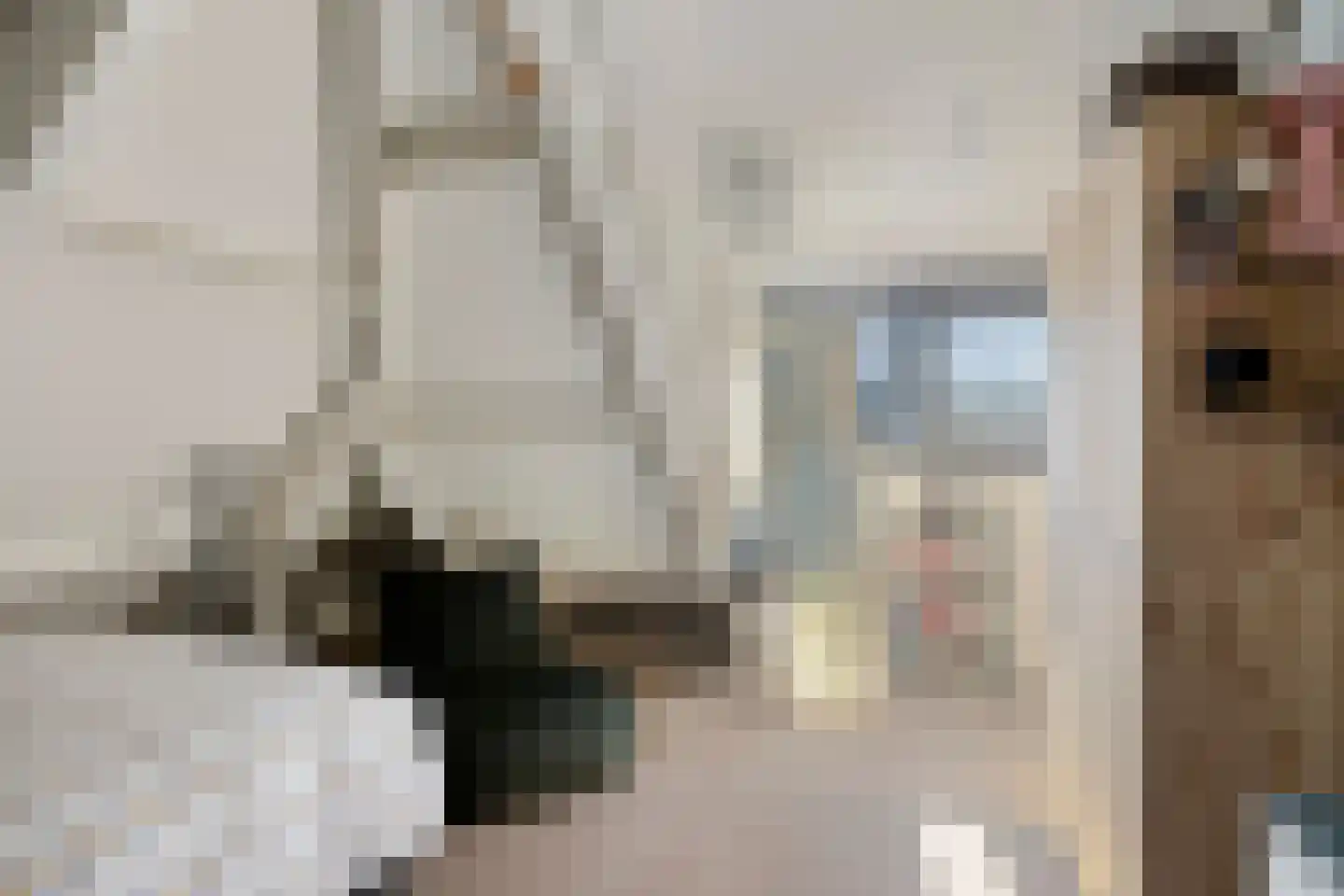 Julianalaan 6 Buitenpost thumbnail 26