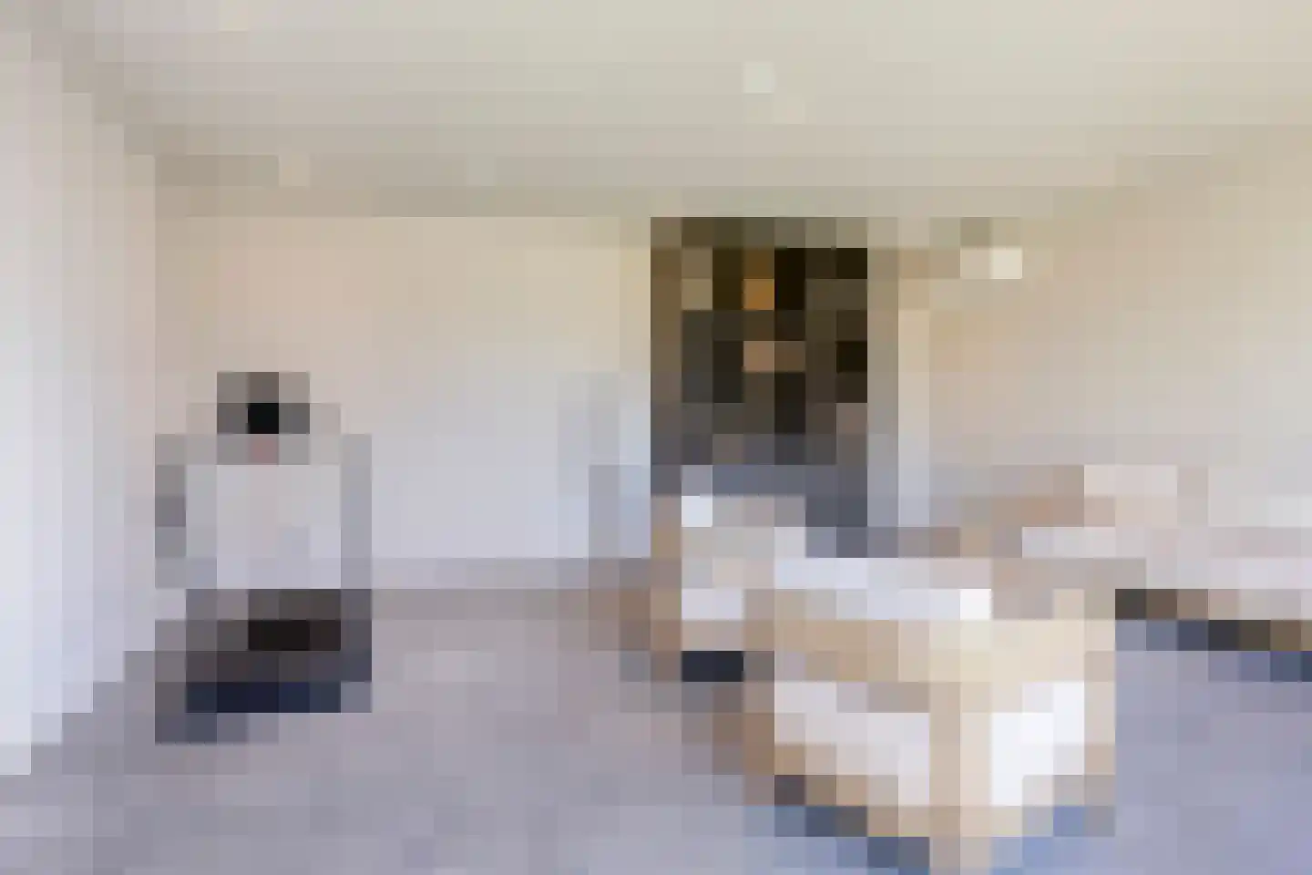 Julianalaan 6 Buitenpost thumbnail 34
