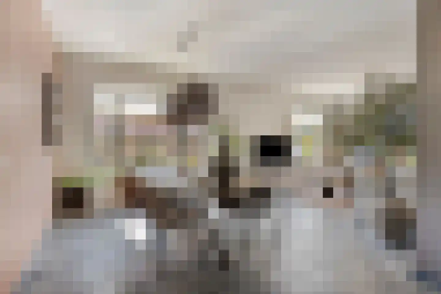 Julianalaan 6 Buitenpost thumbnail 4