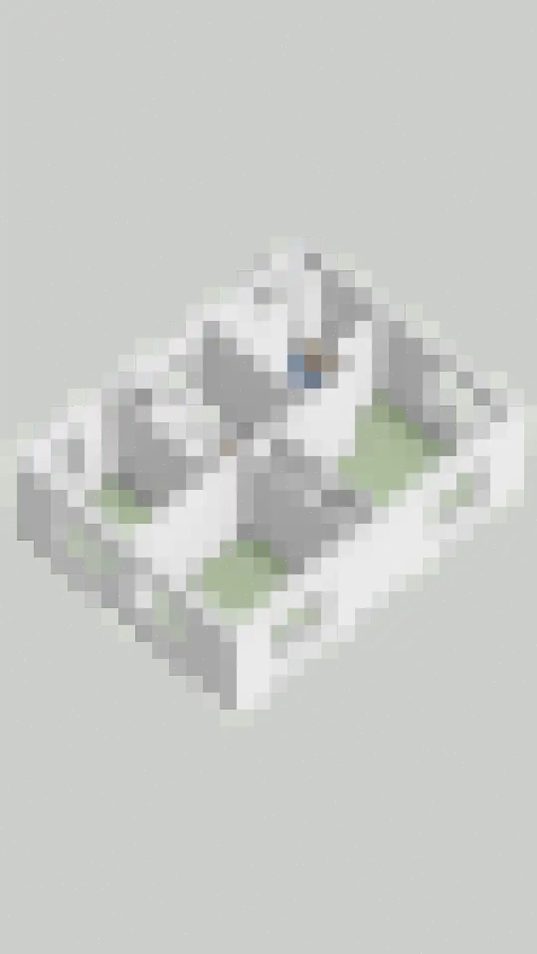 Julianalaan 6 Buitenpost thumbnail 47