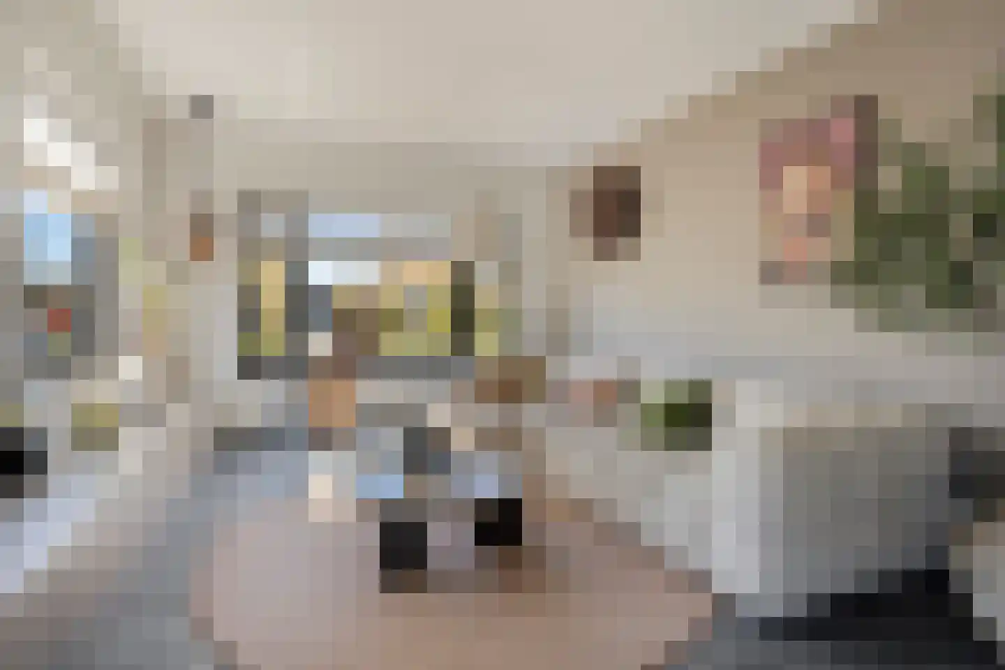 Julianalaan 6 Buitenpost thumbnail 5