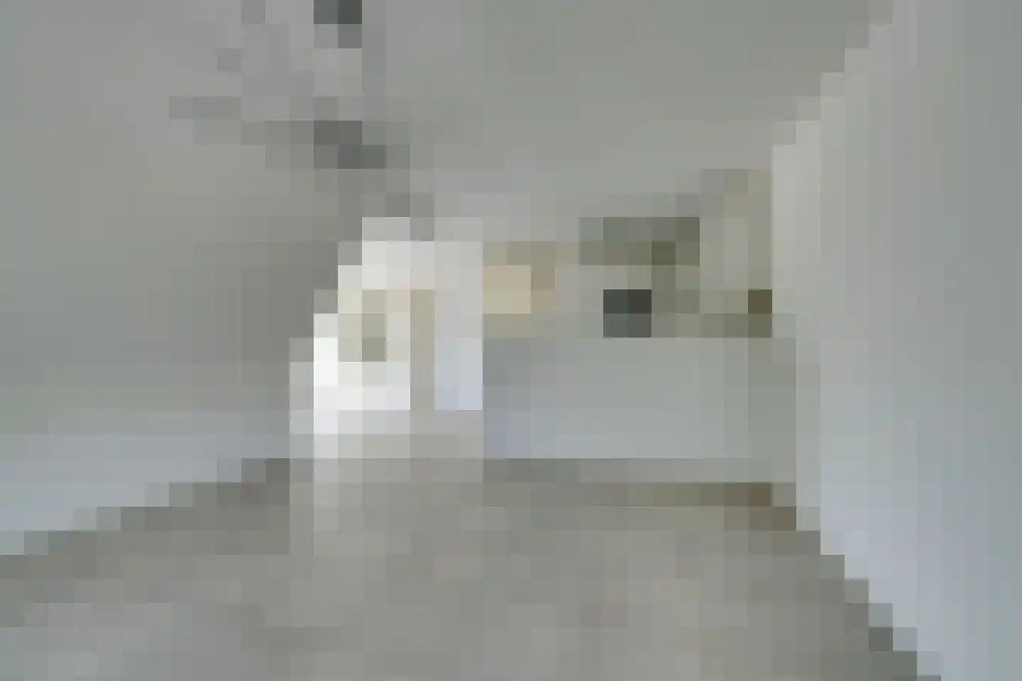 Julianalaan 6 f De Rijp thumbnail 12