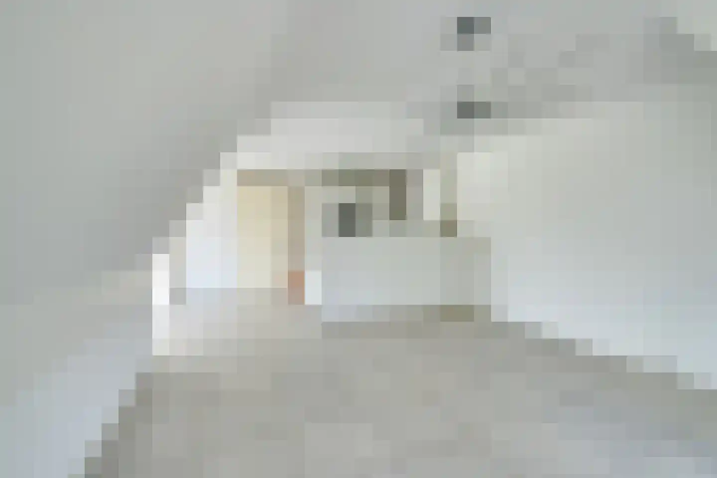 Julianalaan 6 f De Rijp thumbnail 13