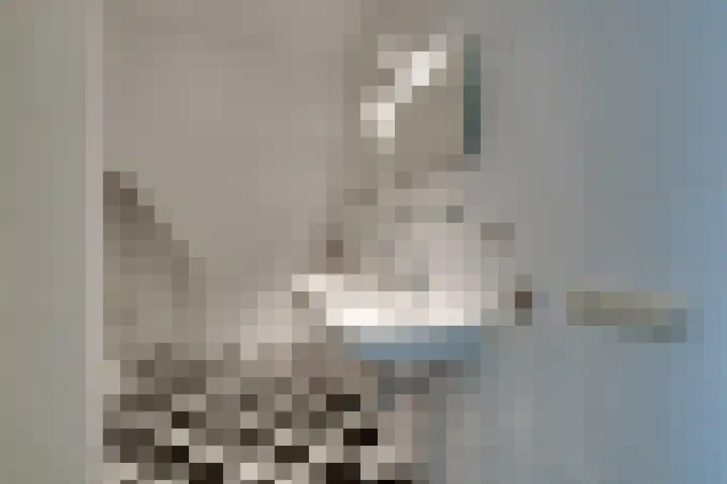 Julianalaan 6 f De Rijp thumbnail 34