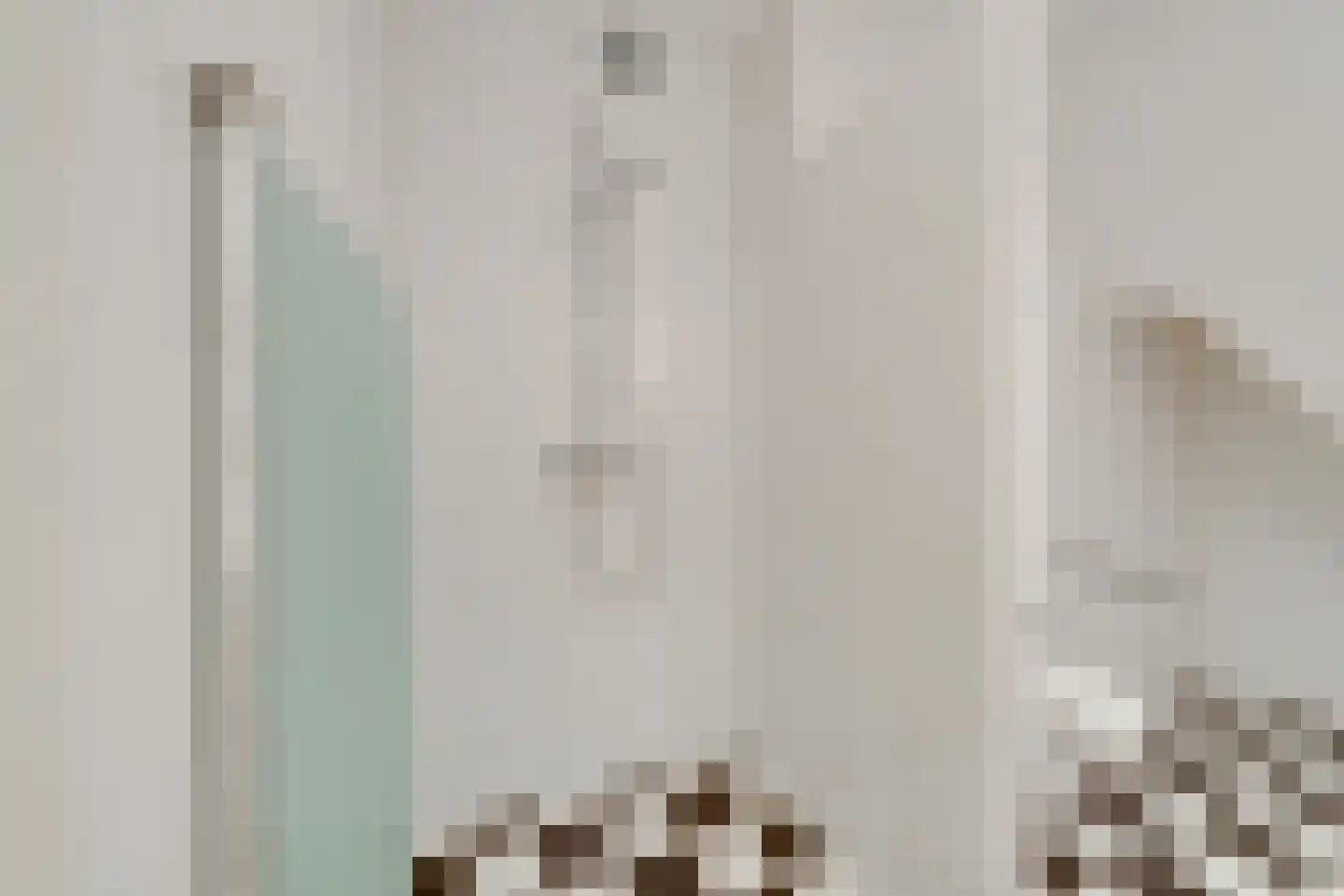 Julianalaan 6 f De Rijp thumbnail 35