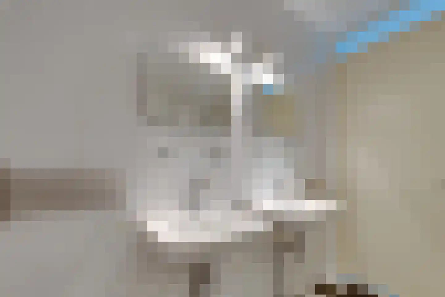 Julianalaan 6 f De Rijp thumbnail 36