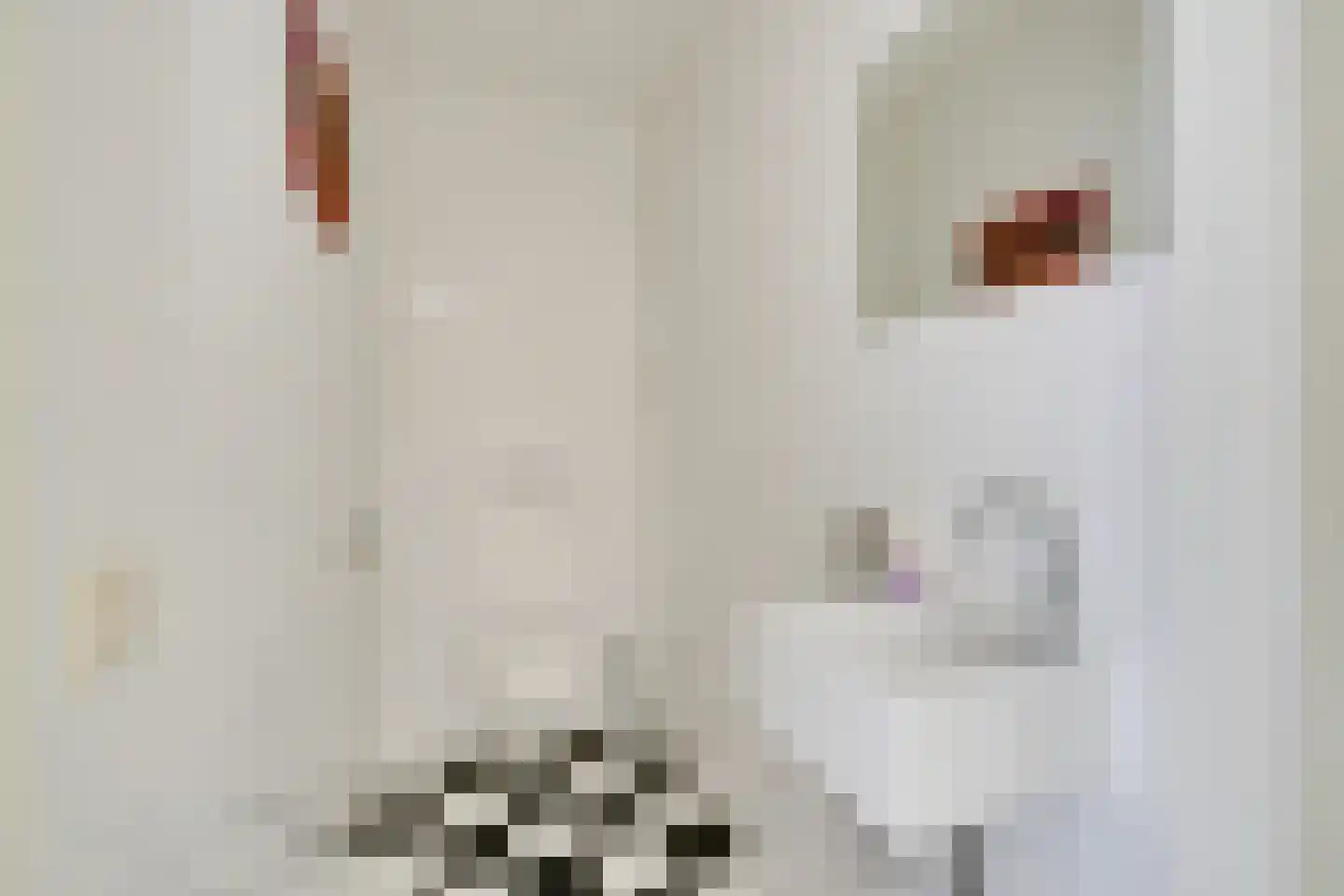 Julianalaan 6 f De Rijp thumbnail 38