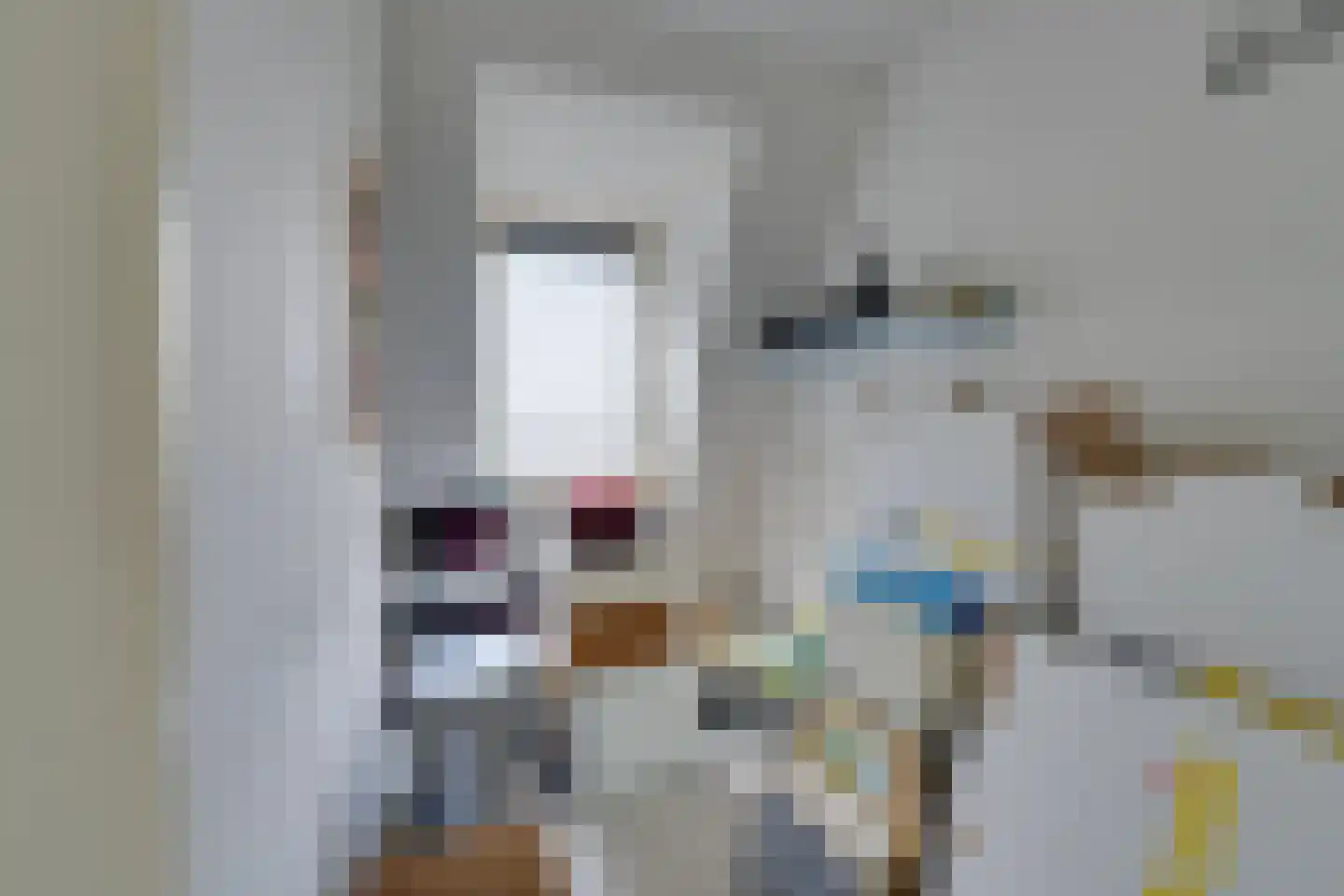 Julianalaan 6 f De Rijp thumbnail 39